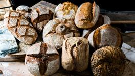 Imagen principal de la ficha